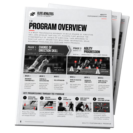 Agility Performance Program